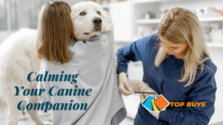 Calming Your Canine Companion