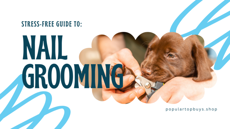 Stress-Free Guide to Dog Nail Grooming